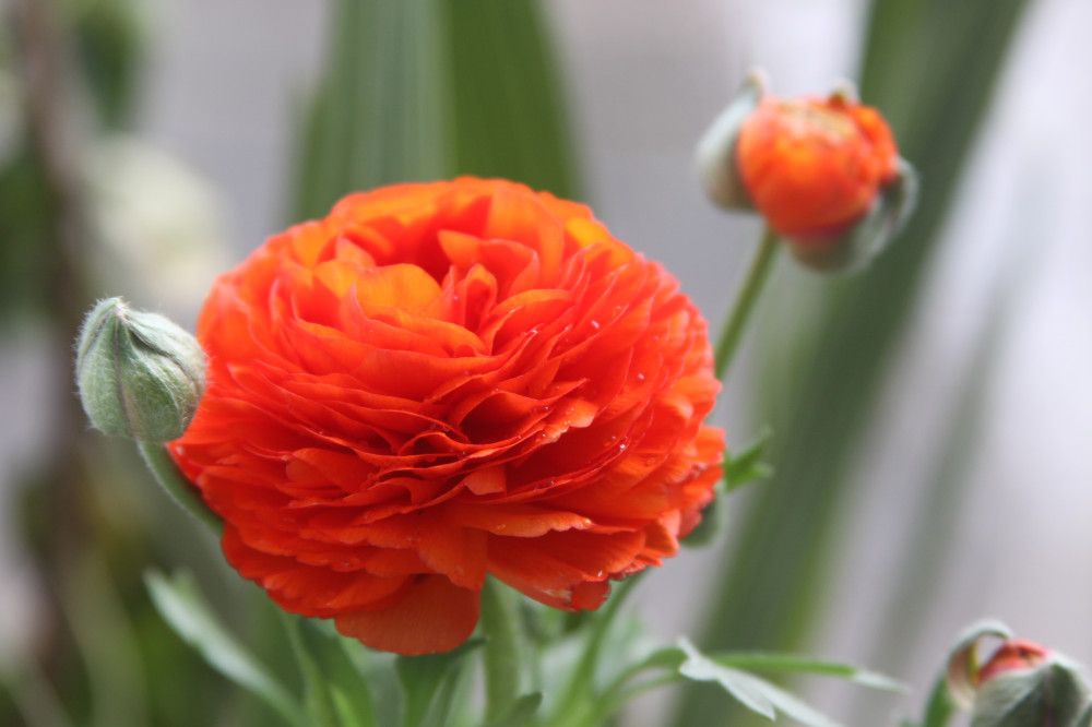 thumb_img1069