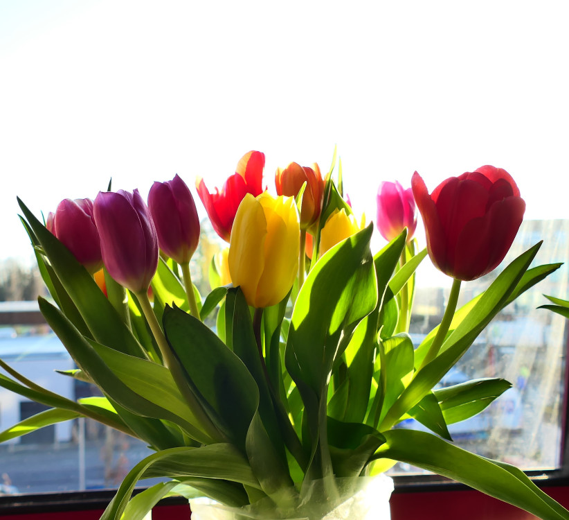 thumb_p1059121